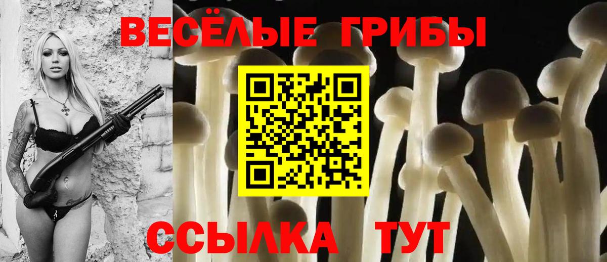 Галлюциногенные грибы Magic Shrooms  купить наркотики цена  Елизово  Вход с VPN 