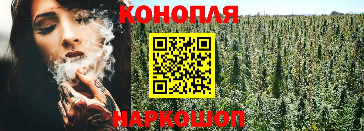 Каннабис семена  Каннабис Amnesia  Вход с VPN  Бошки марихуана OG Kush  Елизово  Каннабис сатива 